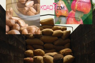 Côte d'Ivoire : 10 mille tonnes invendus, Abidjan au secours des producteurs d'anacarde 